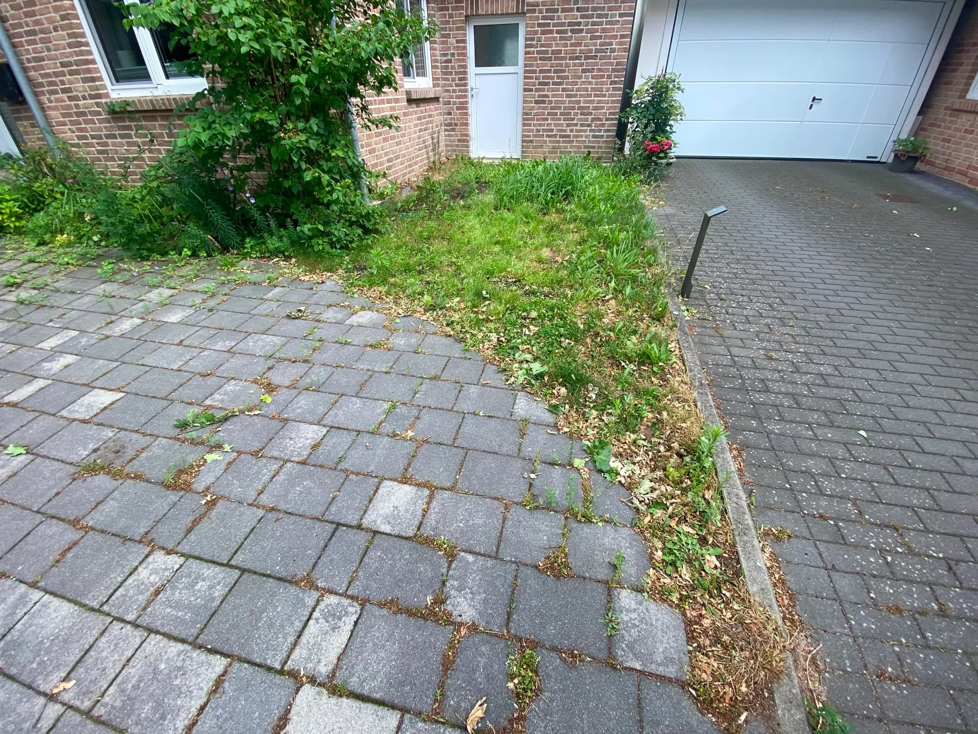 Vorher: verunkrautete, in die Jahre gekommene Pflasterfläche vor Haus und Garage